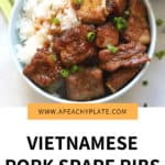 Plate of pork spare ribs and rice pin image