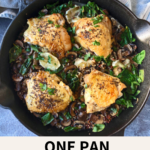 Cast iron skillet with chicken thighs, mushrooms, lemon and brown rice.