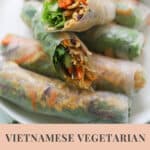 Close up image of vegetarian spring rolls on a plate.