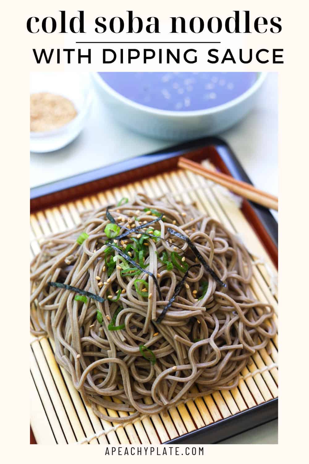 Cold Soba Noodles (Zaru Soba) with Dipping Sauce A Peachy Plate