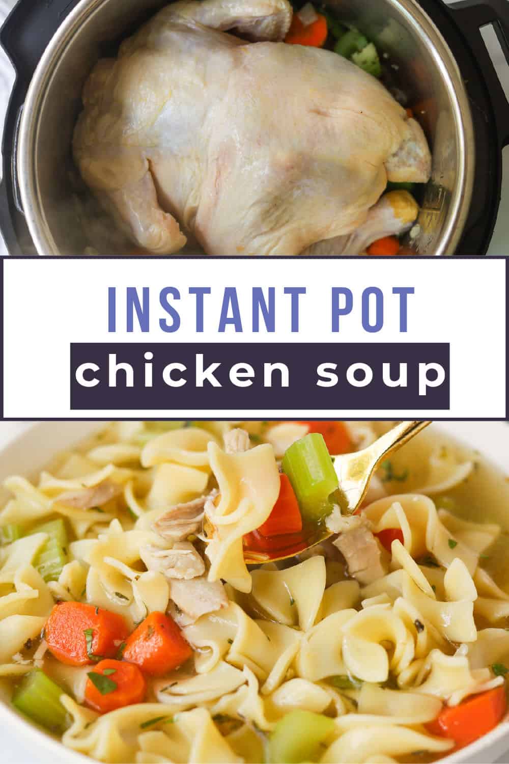 Instant Pot Whole Chicken Soup A Peachy Plate