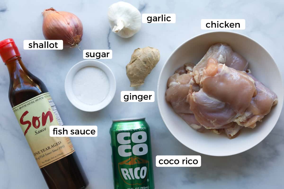 Ingredients for ga kho gung.