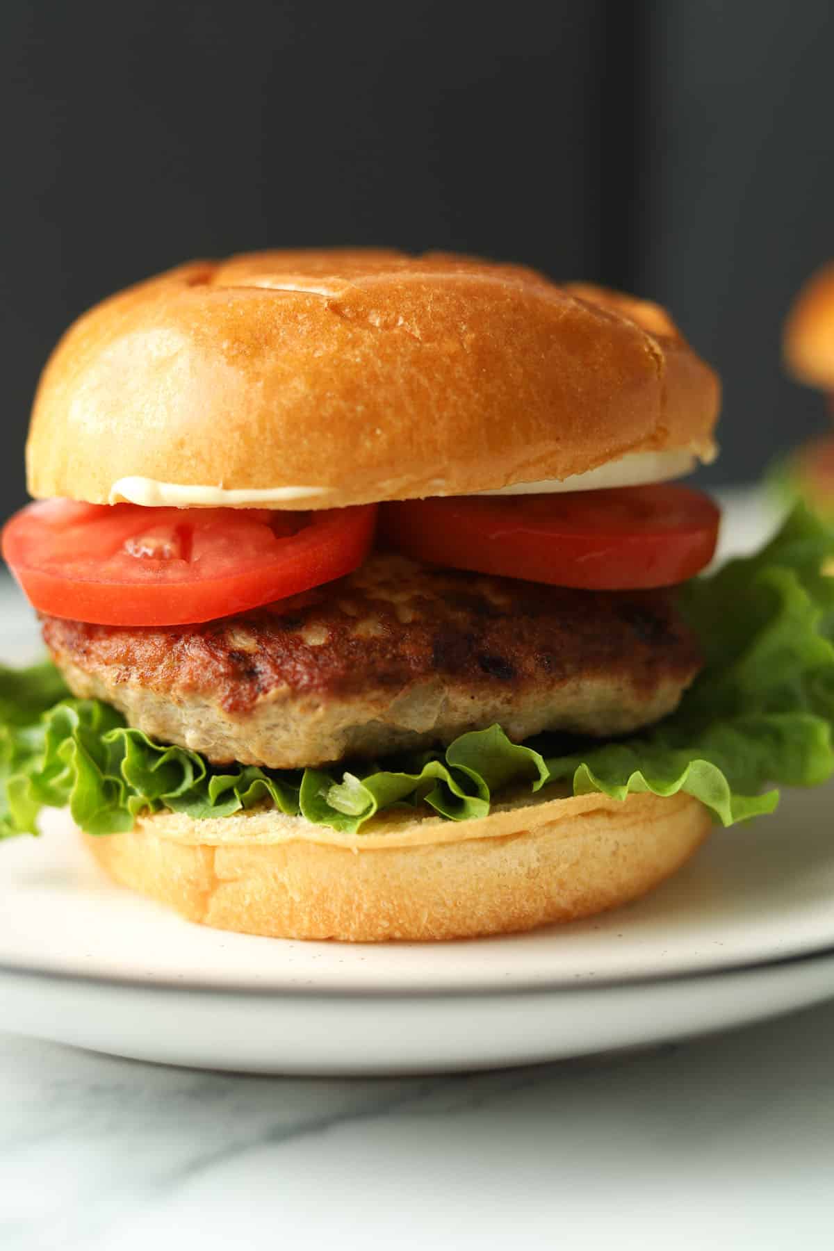 Hamburger with tomatoes and lettuce on a plate.