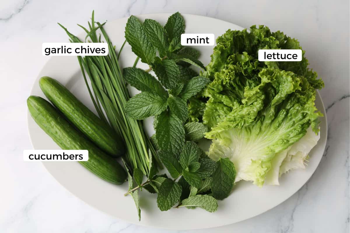 vegetables and herbs.