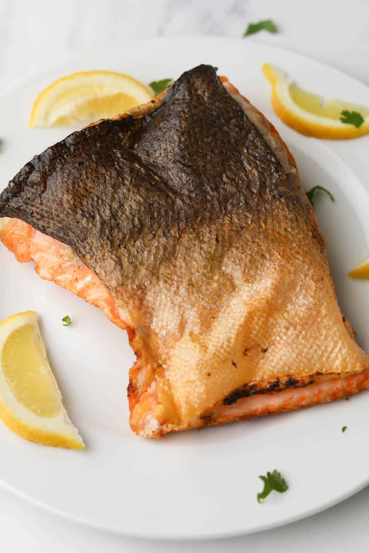 Cooked salmon filet with skin on.