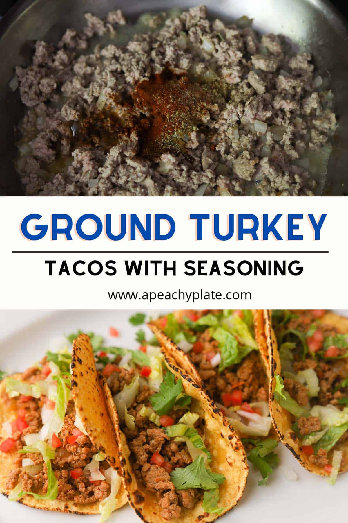 Ground Turkey Taco Seasoning A Peachy Plate