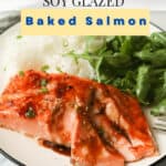 Salmon filet with glaze side of rice and salad.