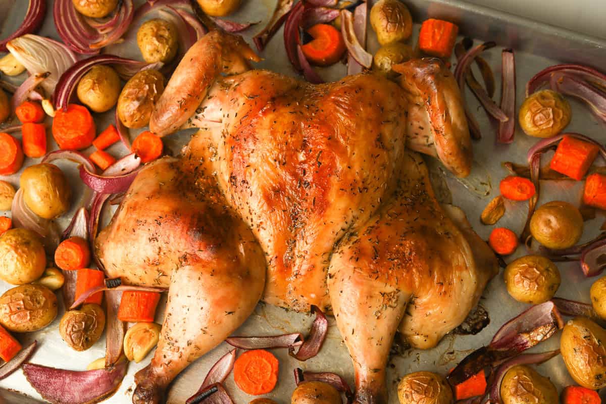 Roasted whole chicken and vegetables.