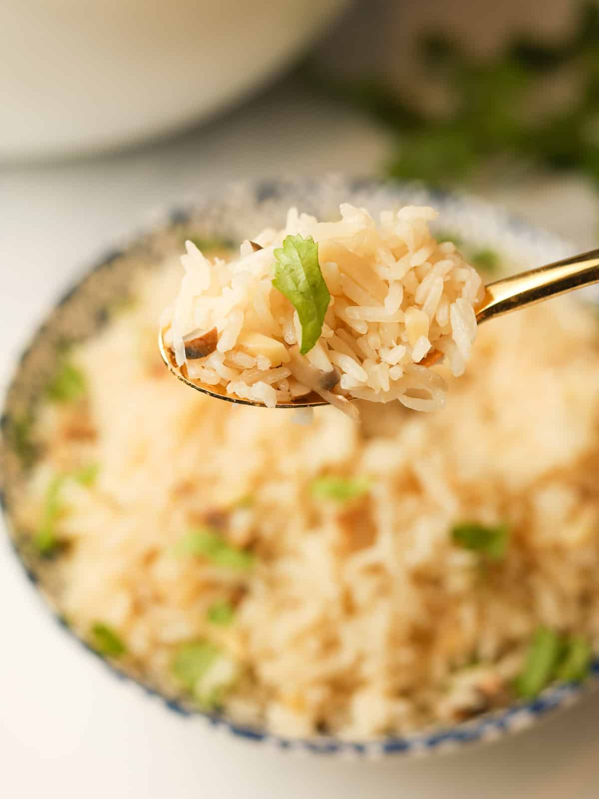 Rice pilaf on spoon.