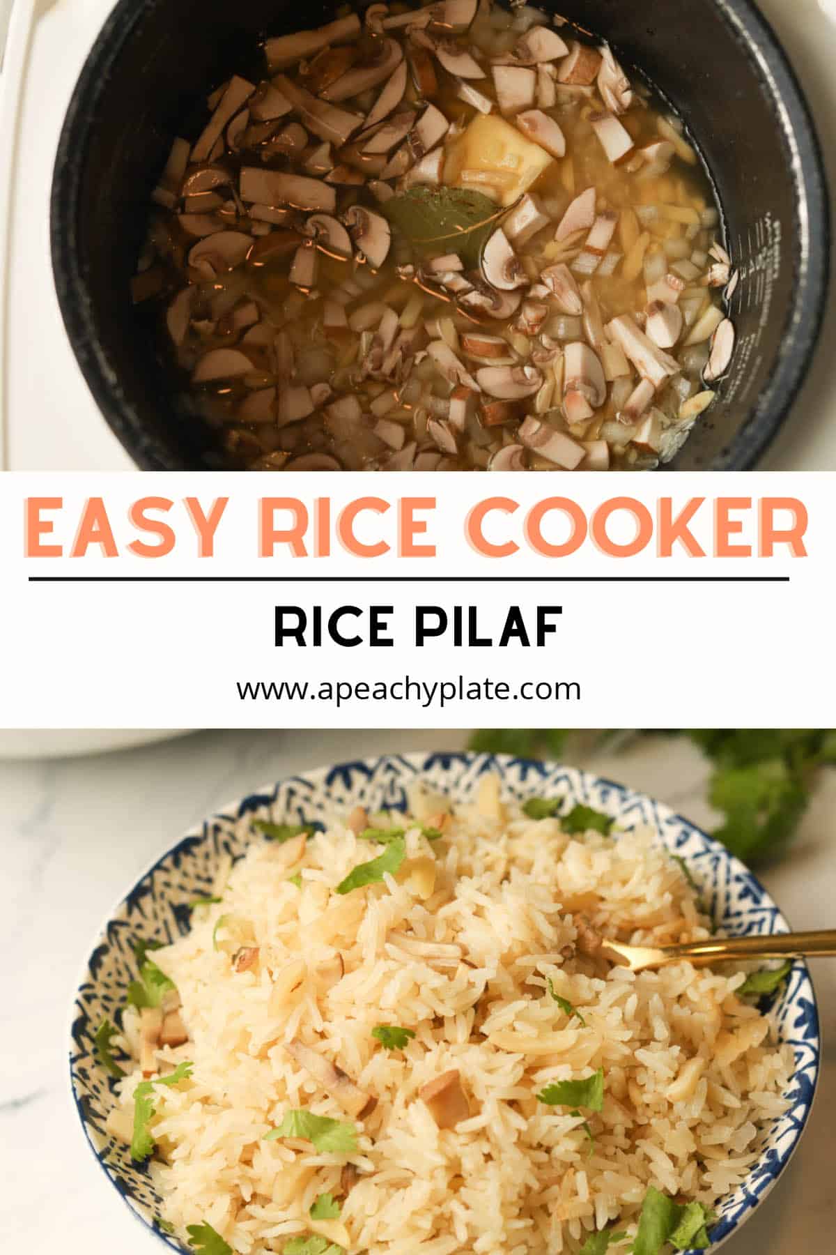 Rice Cooker Congee (Rice Porridge) A Peachy Plate