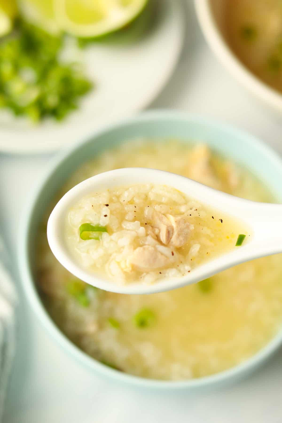 Closeup chicken rice porridge in spoon.