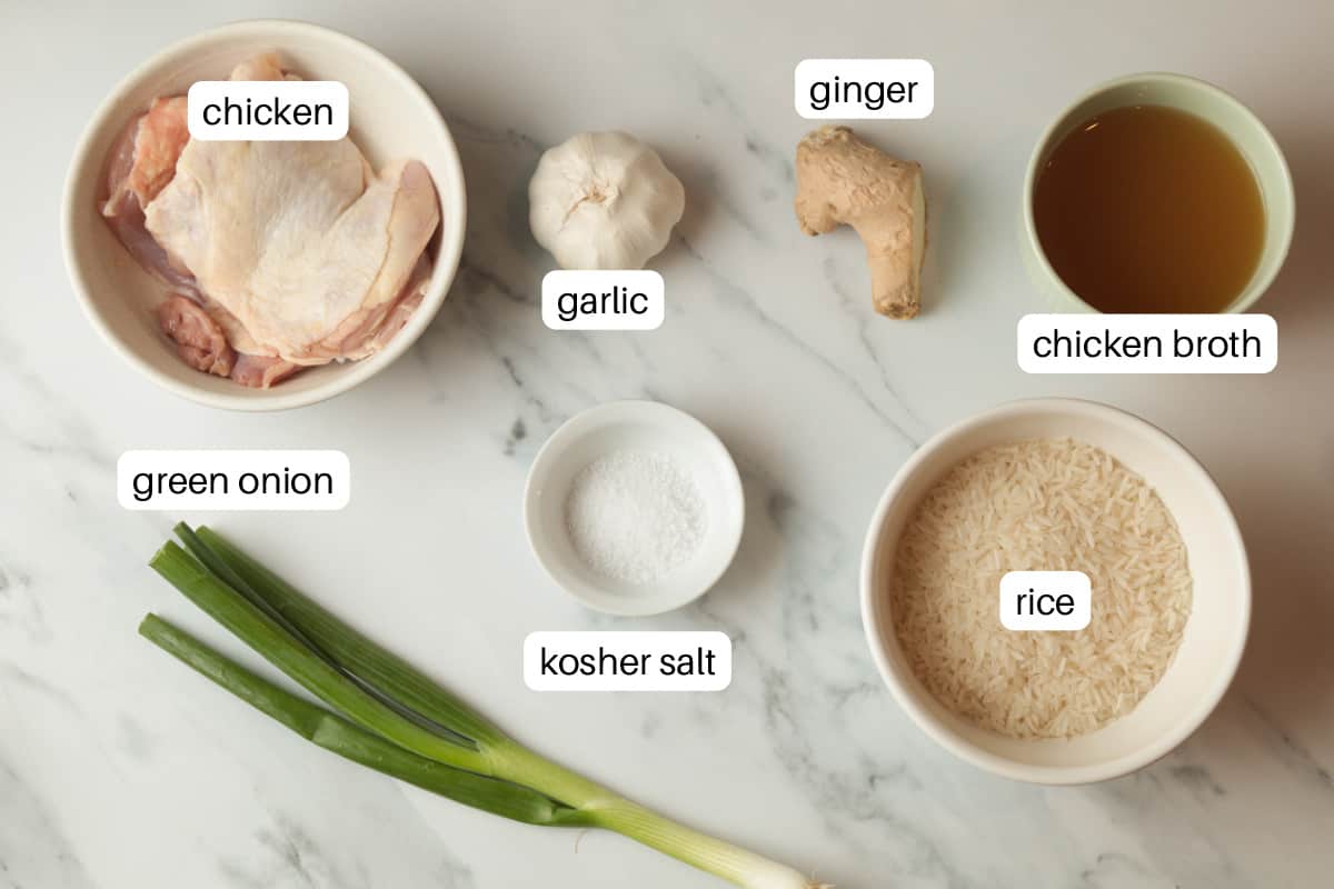Ingredients; chicken, green onion, garlic, ginger, salt, rice and chicken broth.