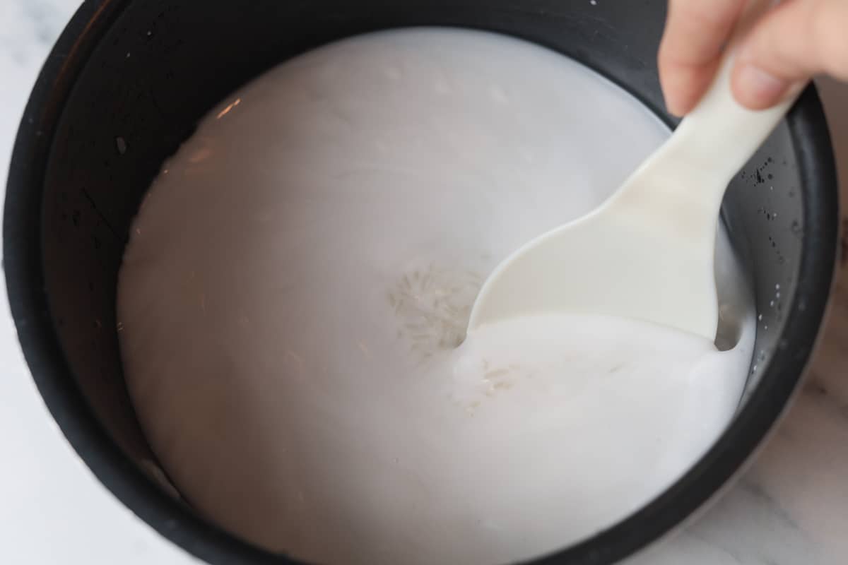 Spoon stirring coconut milk and rice in pot.