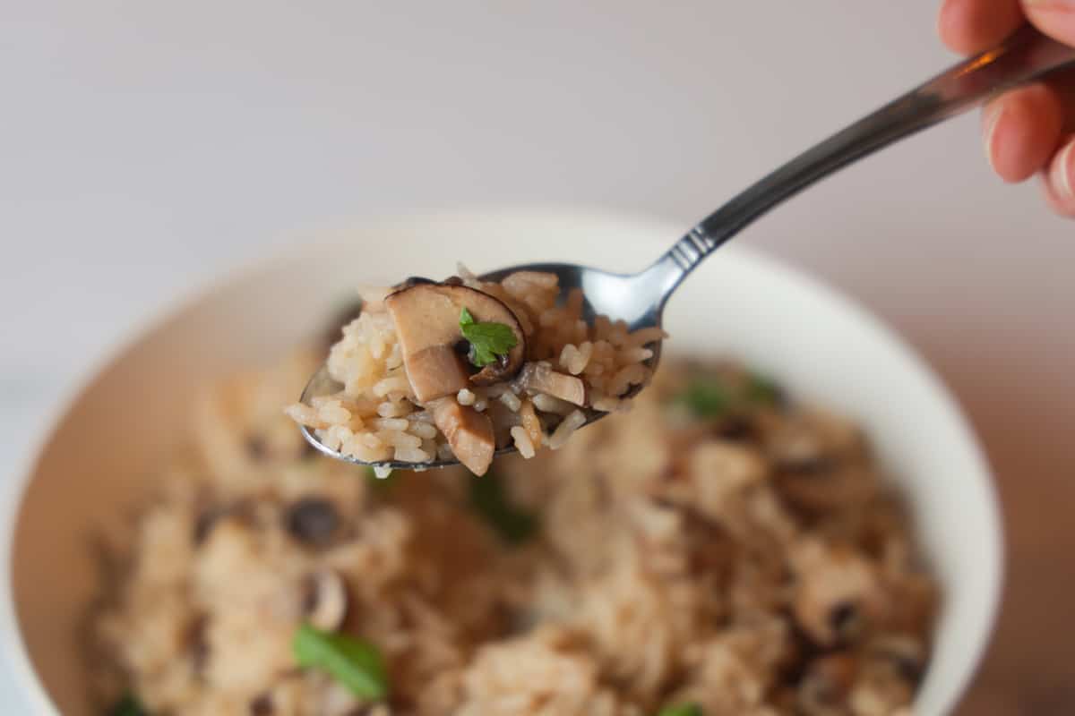 Spoon with rice and mushroom.
