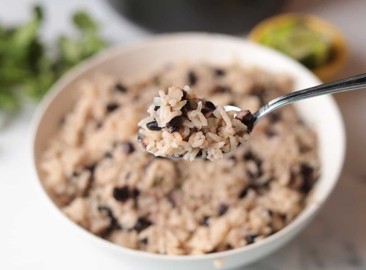 Spoonful of rice and black beans.