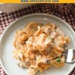 Tuna casserole plate.