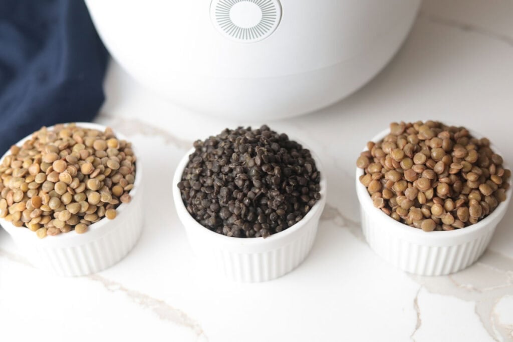 Cooked green, black and brown lentils.