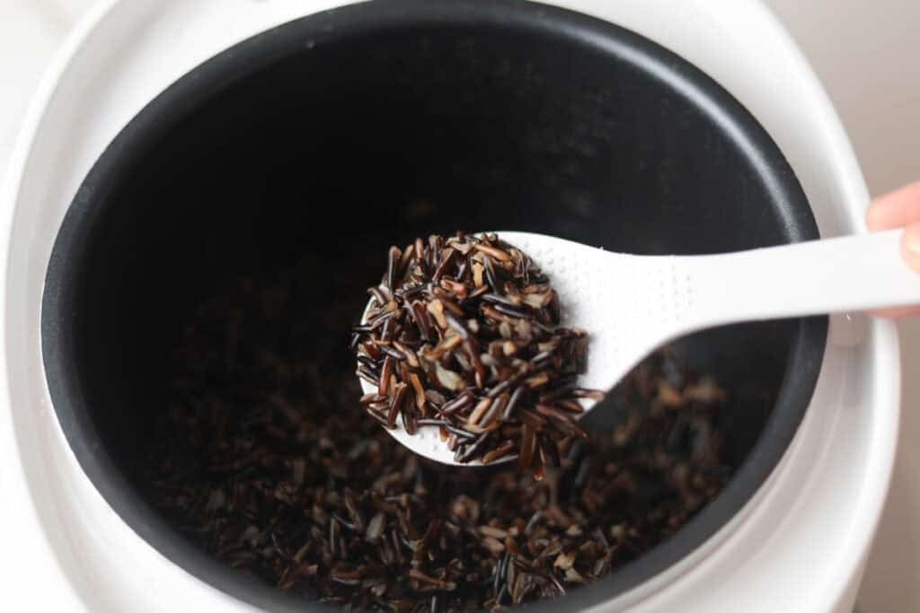 Cooked wild rice in rice cooker pot.