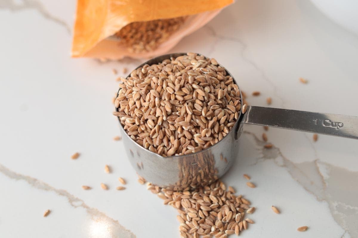 Farro grains in a measuring cup.