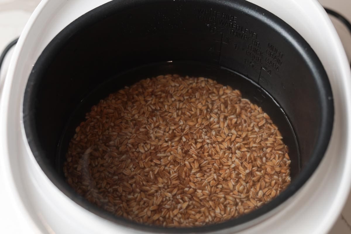 Uncooked farro grains in rice cooker pot.