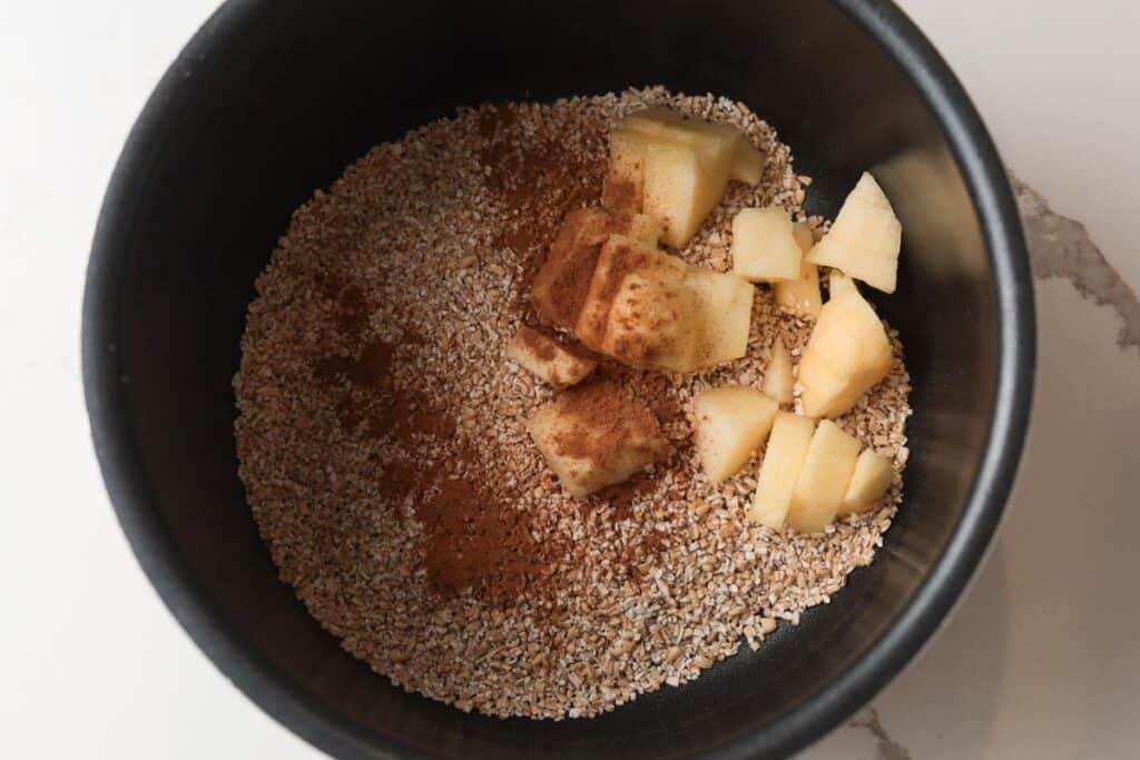 Steelcut oats, cinnamon, apples in a rice cooker pot.