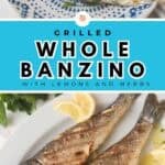Grilled whole branzino with lemon and herb sauce.