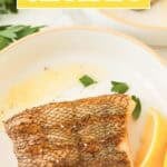 Cooked chilean sea bass fillet on plate.
