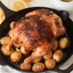Roasted whole chicken with mini potatoes