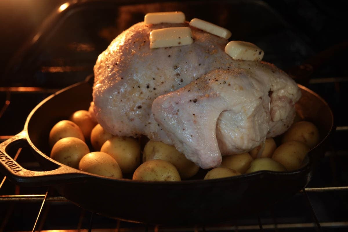 Roasted whole chicken in oven