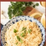 Orzo pasta in bowl