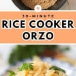Uncooked orzo in rice cooker pot. Closeup orzo pasta on spoon.