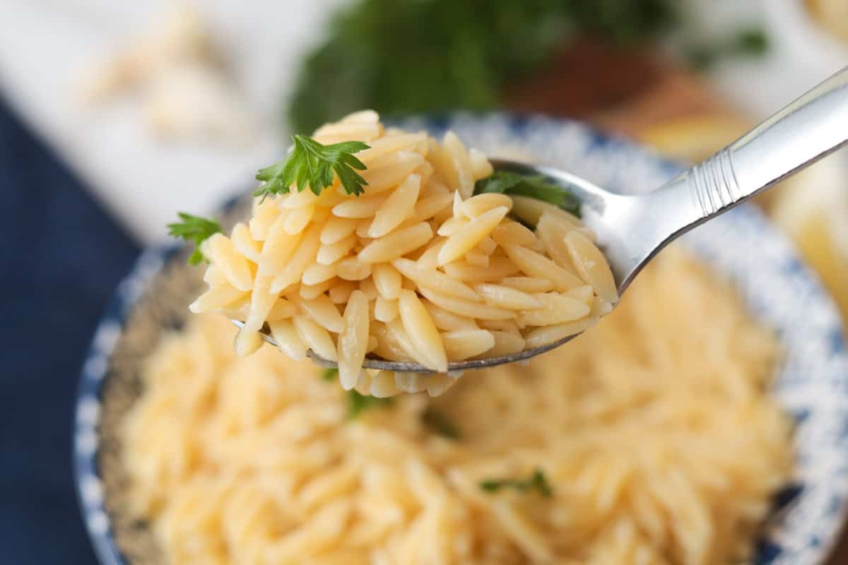 closeup of orzo pasta on spoon.