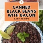 Ingredients for canned black beans. Bowl of black beans.