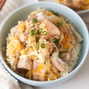 Chicken oyakodon in bowl.