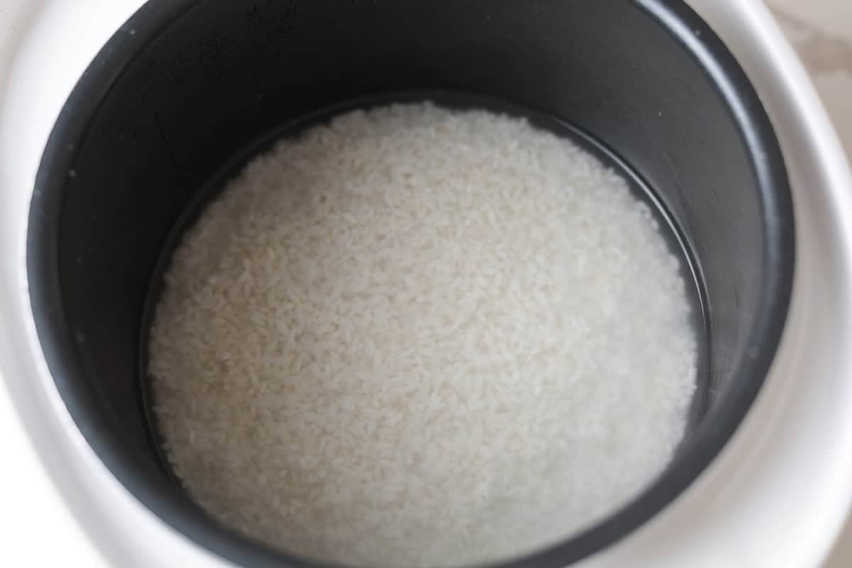 White rice in rice cooker pot.