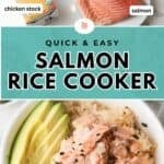 Ingredients for salmon rice cooker recipe. Salmon rice bowl.