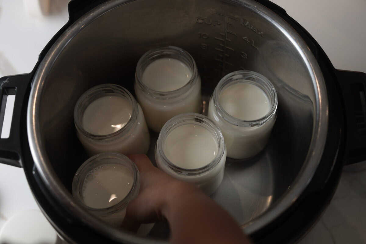 yogurt jars in instant pot