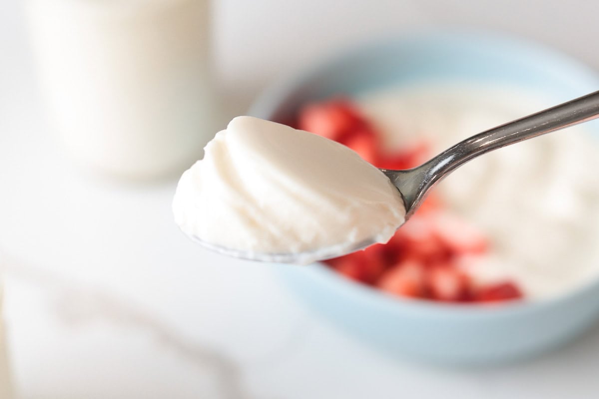 spoon of yogurt