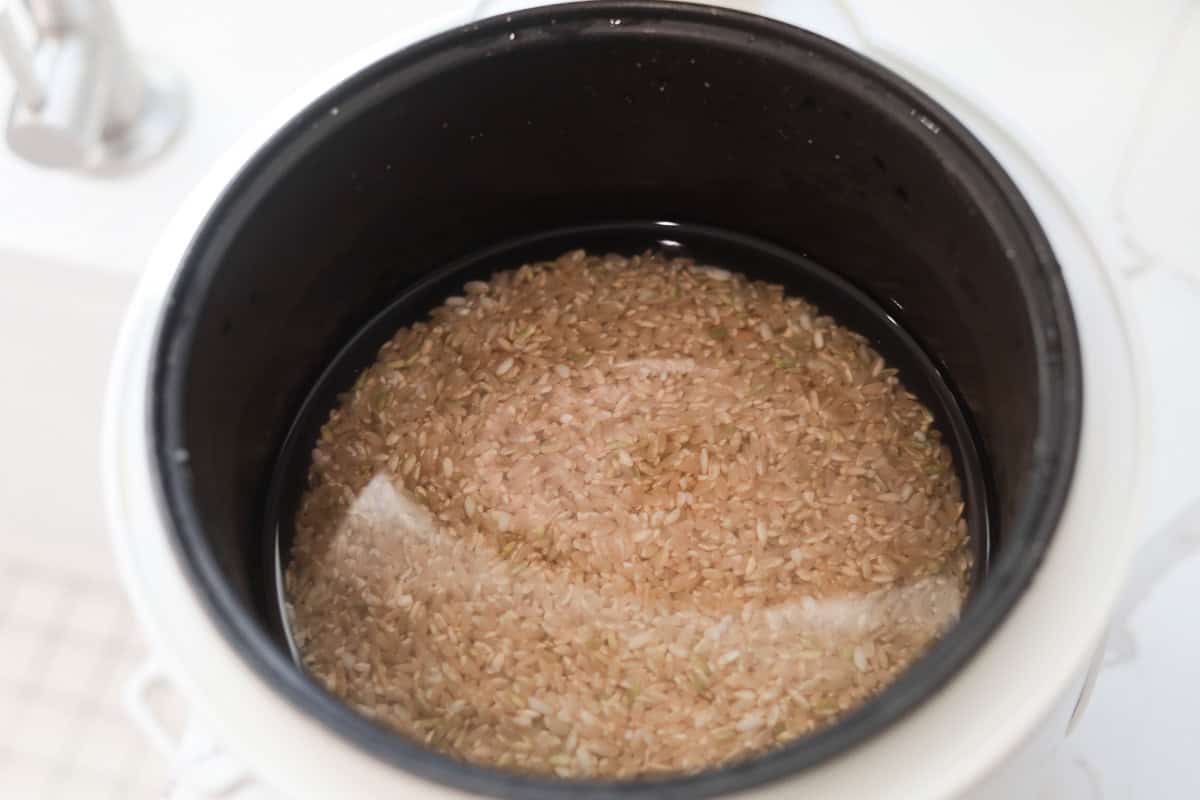 Uncooked brown rice soaking in water.