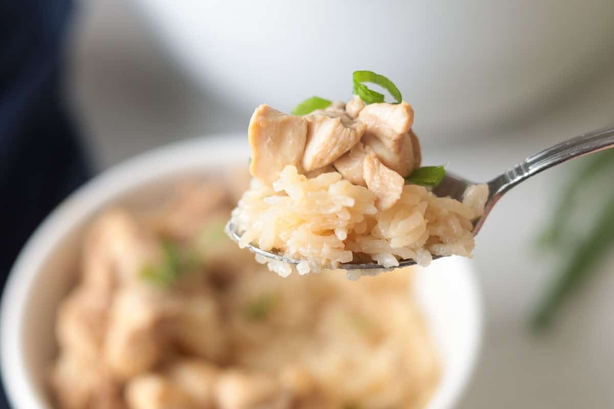 Close-up of a metal spoon holding a bite-sized portion of seasoned rice and cooked chicken adobo topped with chopped green onions.