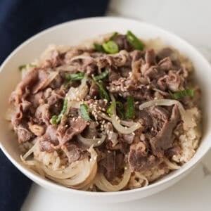 High-angle top shot of a full bowl of Gyudon Japanese beef over seasoned rice garnished with sesame seeds and scallions.
